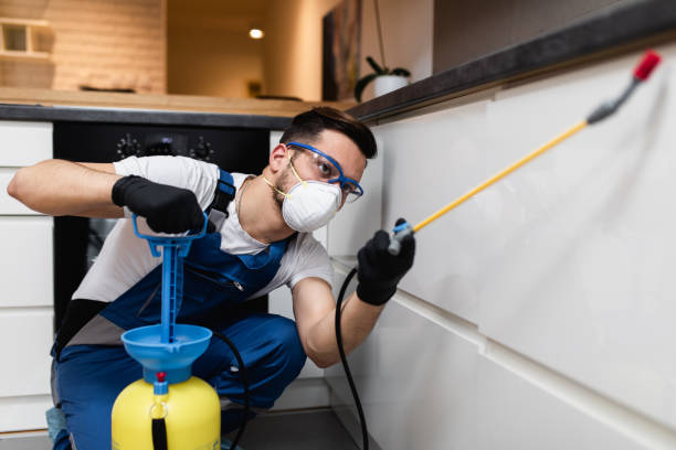 Best Mosquito Control Services  in Cut Off, LA