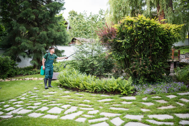 Best Ant Control Services  in Cut Off, LA