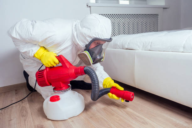 Best Best Pest Control Companies  in Cut Off, LA