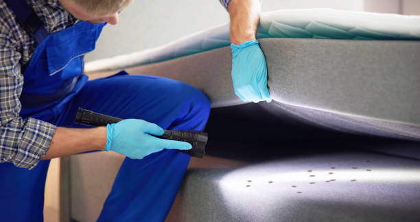 Best Residential Pest Control  in Cut Off, LA
