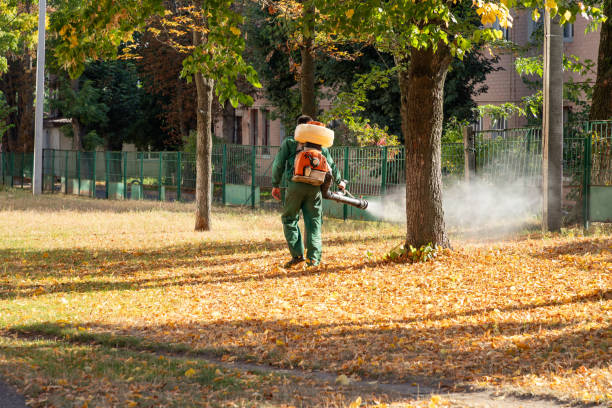 Cut Off, LA Pest Control Company