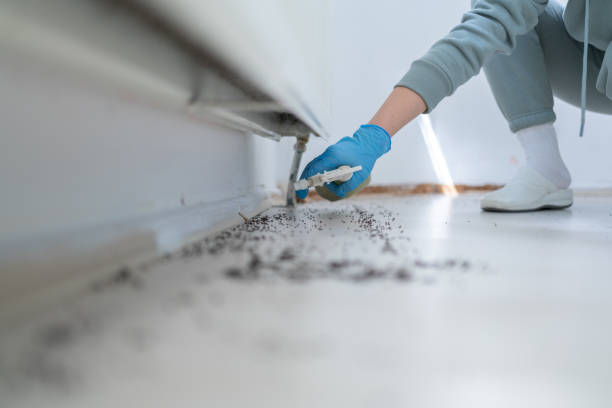  Cut Off, LA Pest Control Pros