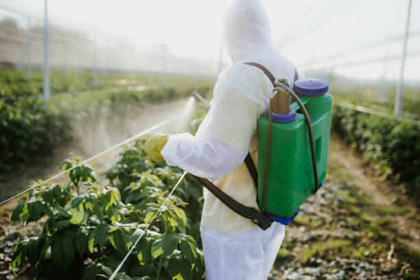 Best Wildlife Control Services  in Cut Off, LA
